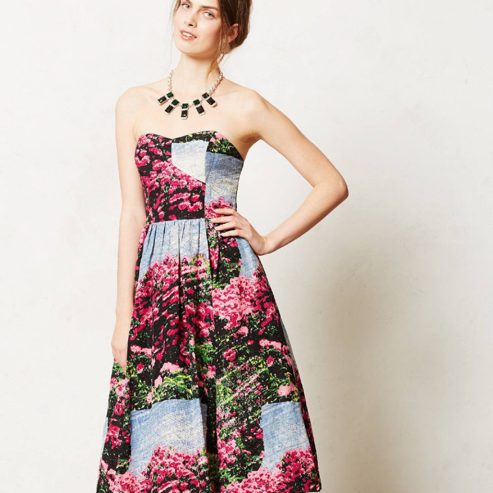 Anthropologie Alpenrose Dress Rhododendron Print Fit & Flare by Tracy Reese NEW
